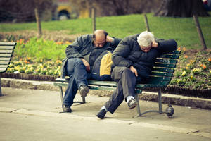 ... synchronicity ...