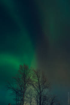 Finland - Aurora Borealis 14
