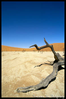 Namibia Views 58