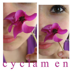 Cyclamen