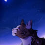 Leafpool