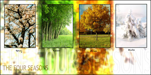 The Four Seasons