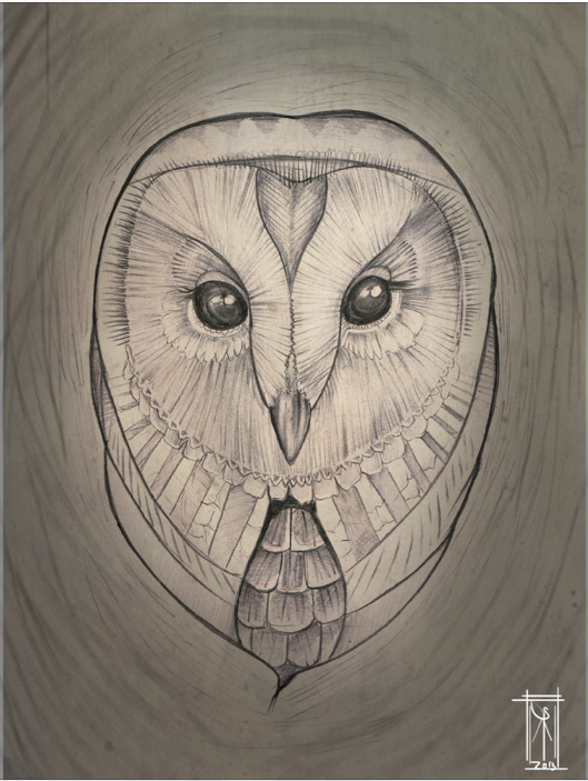 owl