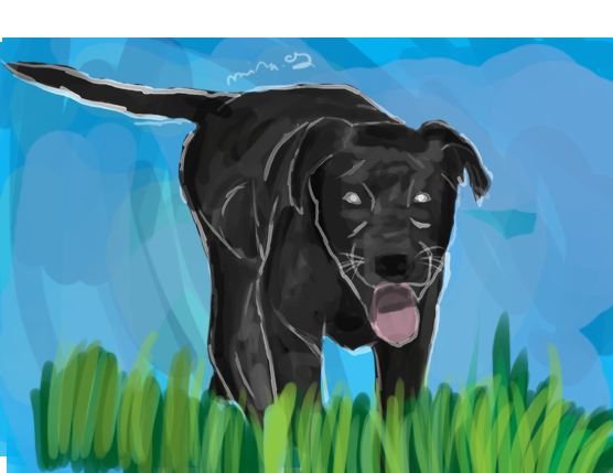 Black Lab Deviantart Black labrador by misacz on DeviantArt