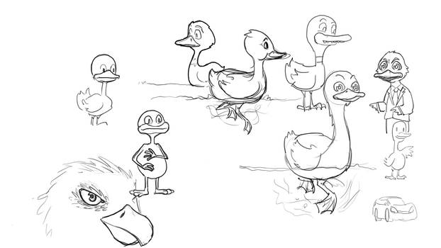 Duck Study