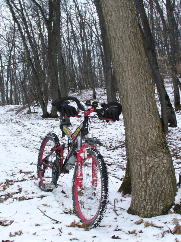 G Rider by abaddon-667 on DeviantArt