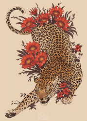 [C] Leopard