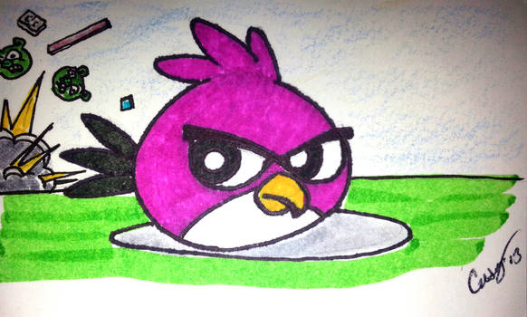 Angry Pink Bird