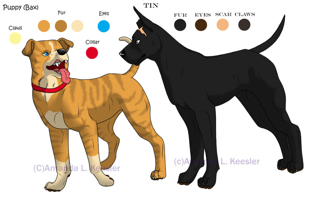 Tin and Puppy Ref. Sheet