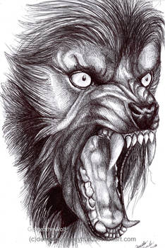 The American Werewolf