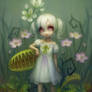 Insectivorous Plants
