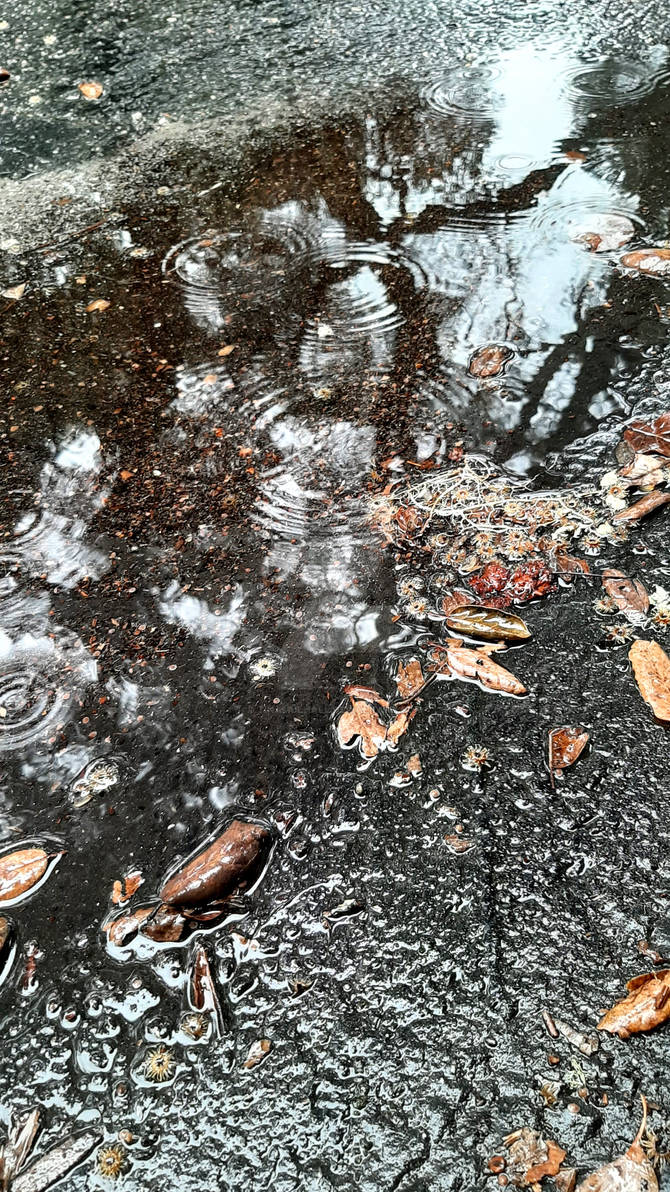 Ripple Reflection by TinaMulhall on DeviantArt