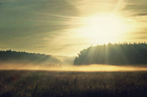 sunrise and fog