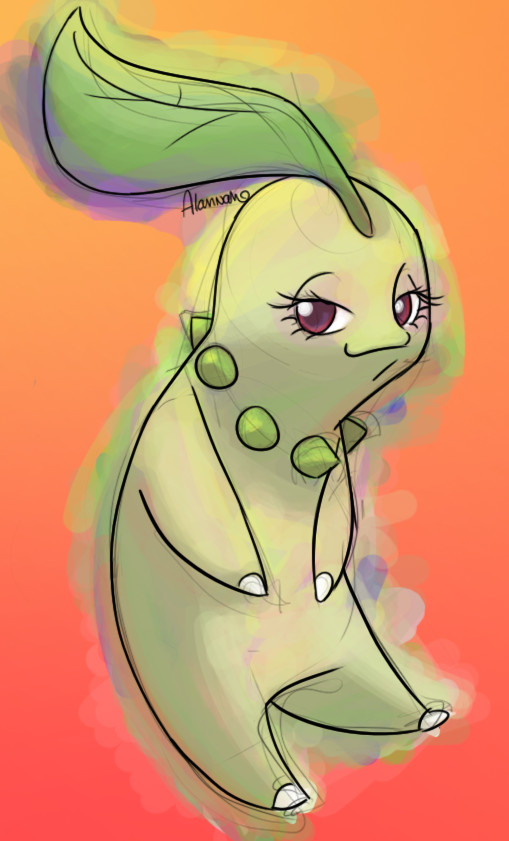 Chikorita