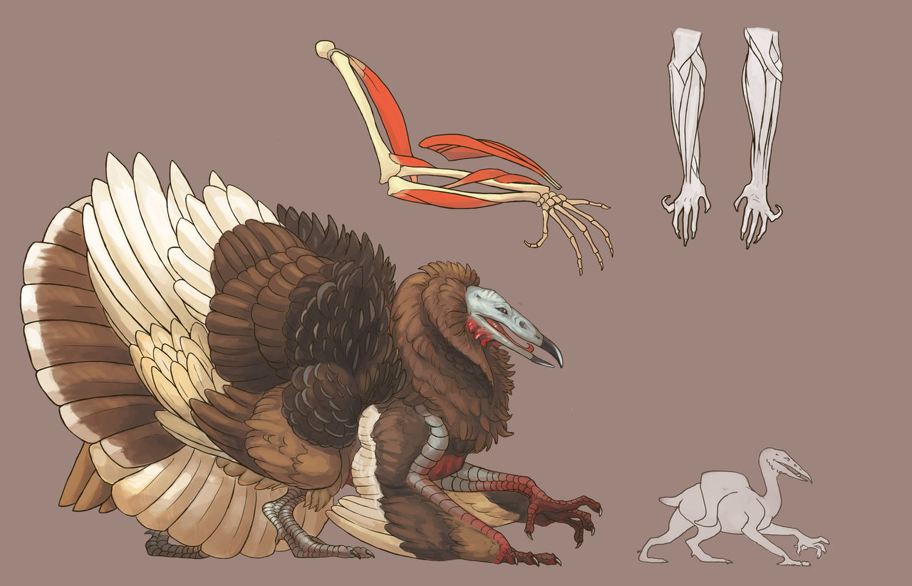 Turkey Vulture Design