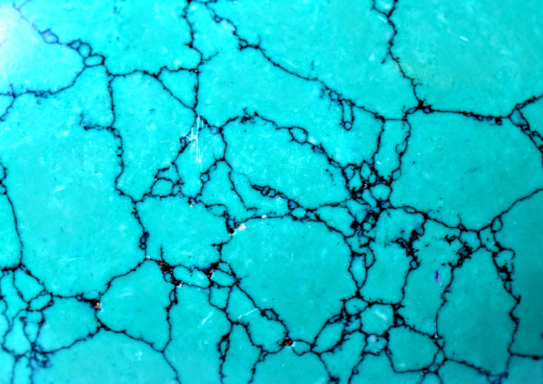 Tortquoise Turquoise by AmberLamoreauxArt on DeviantArt