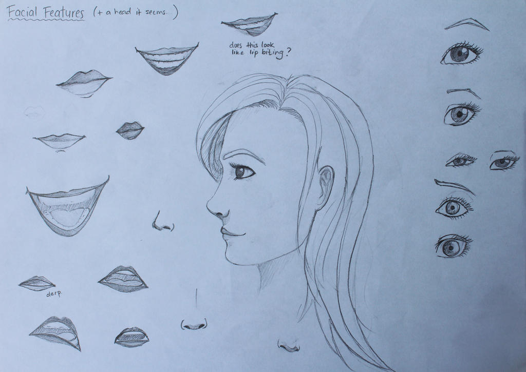Facial Features Sketches 01 by RustSage on DeviantArt