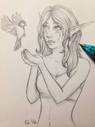 Night Elf Sketch 3