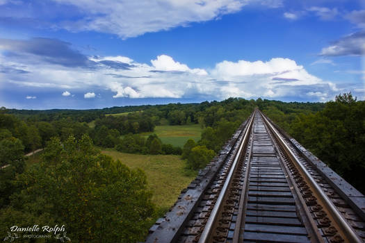 Tulip Trestle