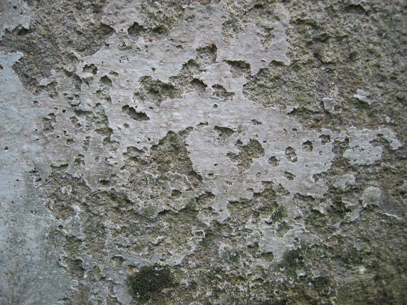 Old Wall 3