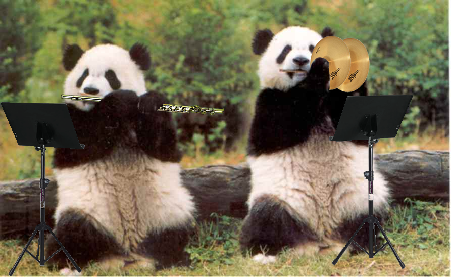 panda orchestra