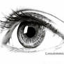 The eye (oko)