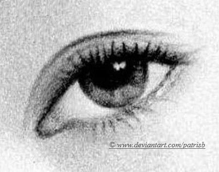 The eye
