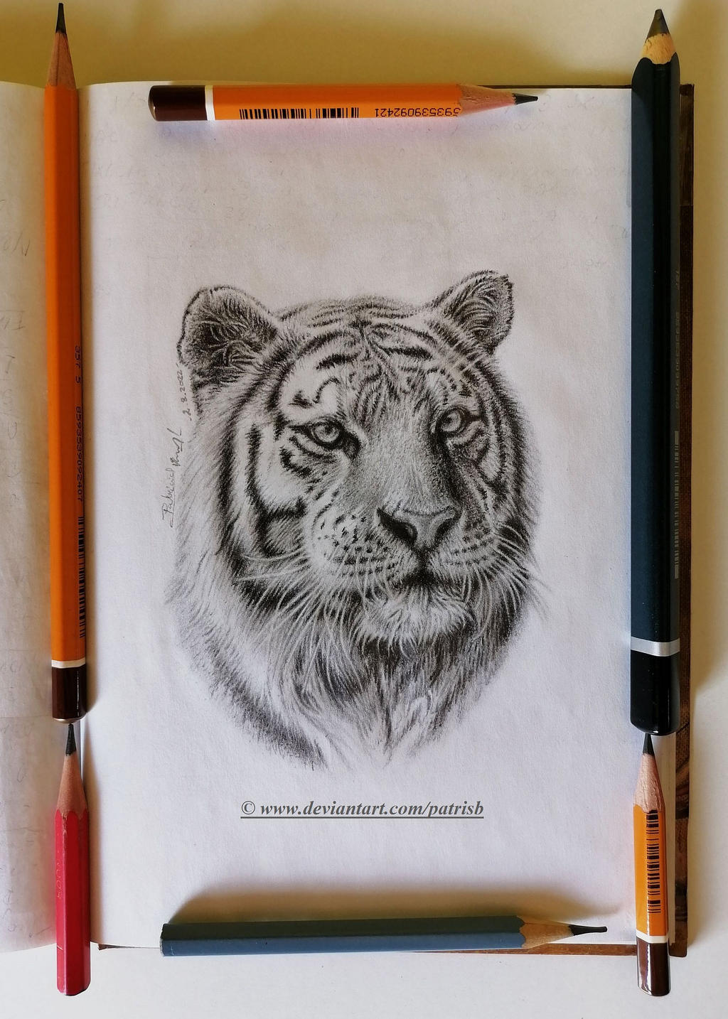 Tiger (for DATutorial)