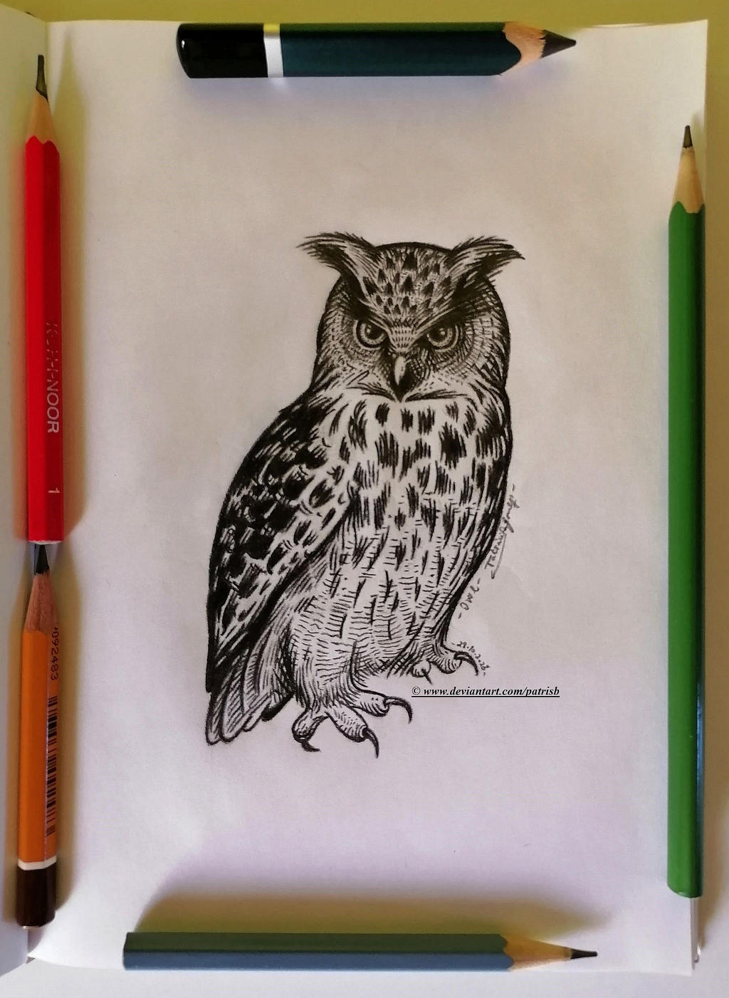 Owl (for Drawtober 2023)