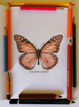Butterfly (for DATutorial)