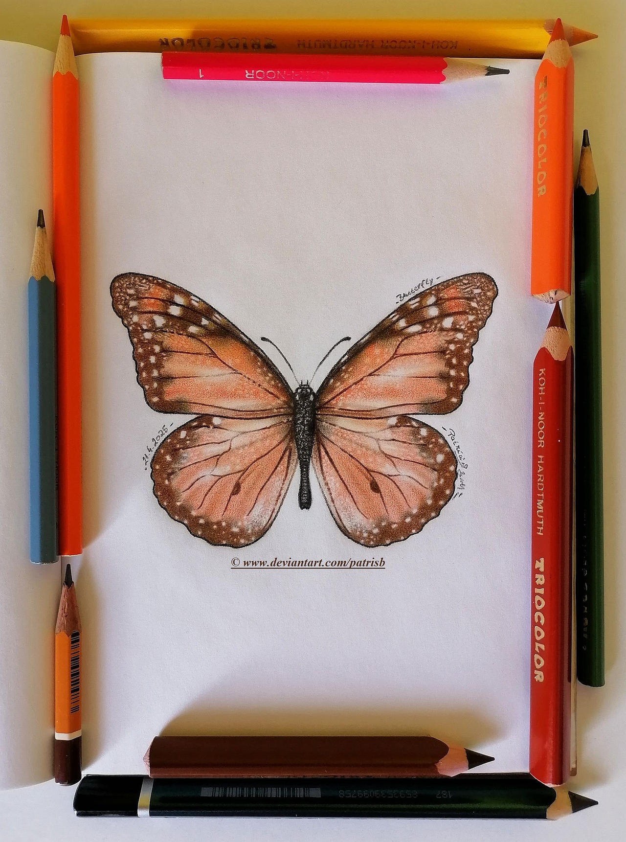 Butterfly (for DATutorial)