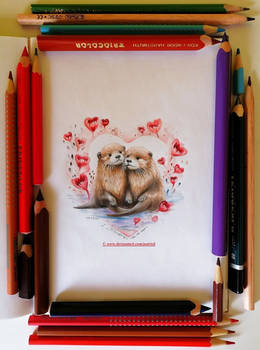 The Sea Otters (for DATutorial)