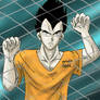 Prisoner Vegeta