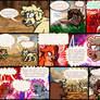 Homebound Page 428