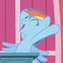 Vote Rainbow Dash