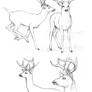 sketches_deers