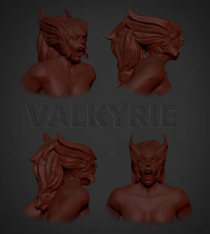 VALKYRIE WIP