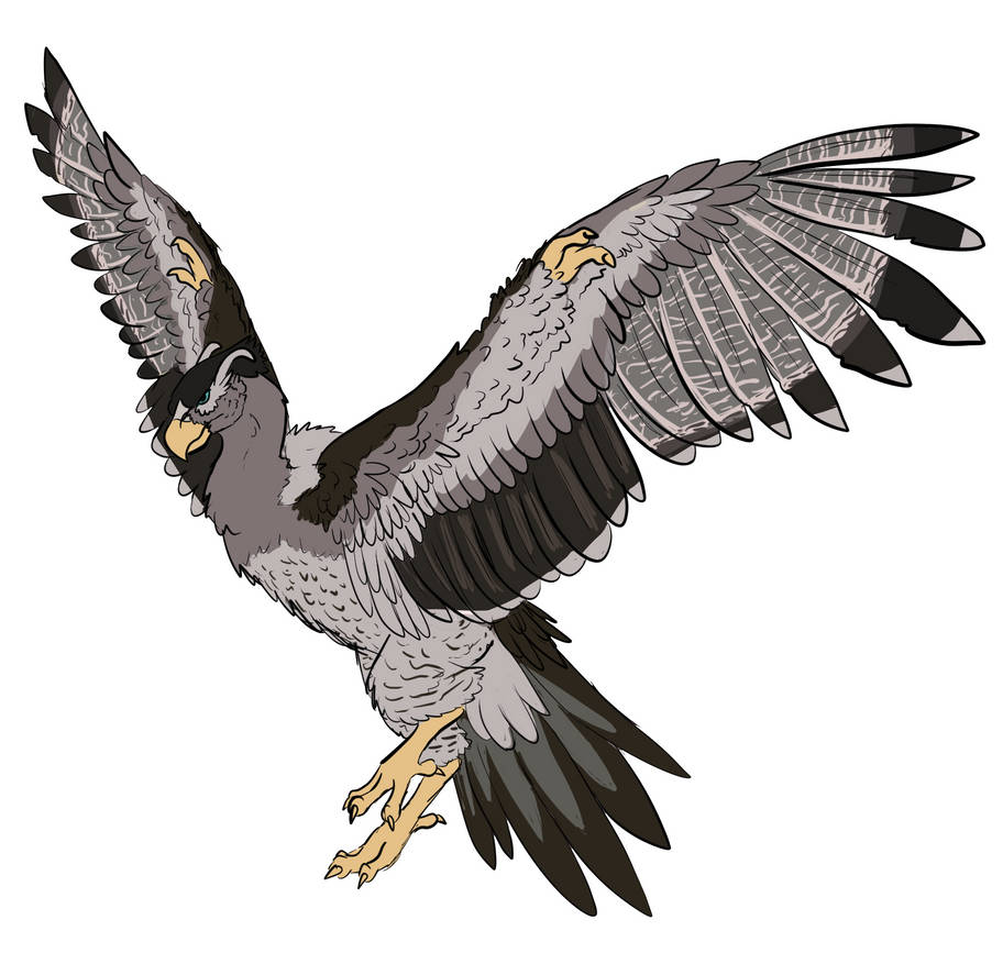 Rukh by Mythologysleuth on DeviantArt