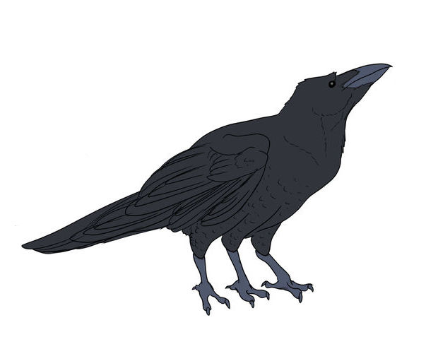 Yatagarasu by Mythologysleuth on DeviantArt