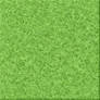 Grass Texture