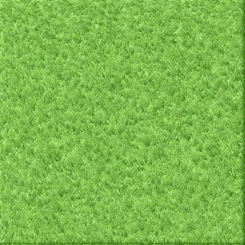 Grass Texture