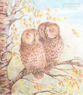 tAWWWWny Owls