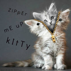 Zipper Me Up Kitty