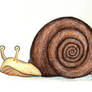 Snail