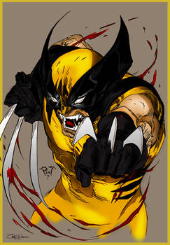 Wolverine_Coloring