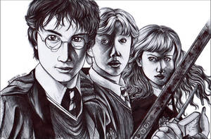 Harry Potter in Biro