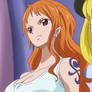 Nami 243