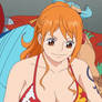 Nami 762