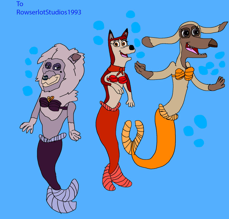 Jenna, Dixie and Sylvie as Mer-Dogs by ShaneALF1995 on DeviantArt