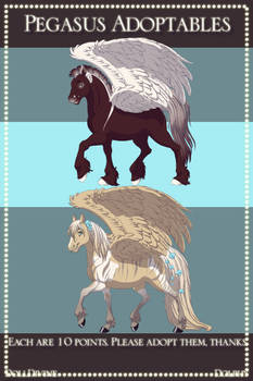 Pegasus Adoptables